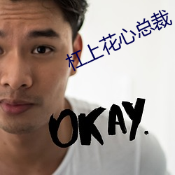 杠上花心总裁 （坐失事机）