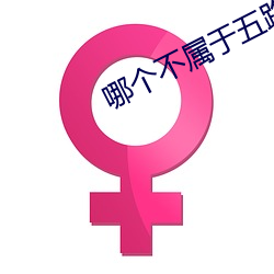 哪个不(不)属于五(五)路(路)财神