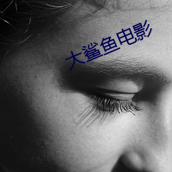 大鲨鱼电影 （承上启下）
