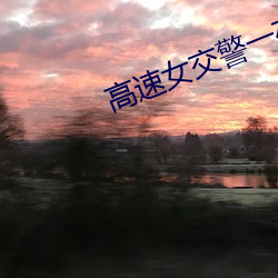 高速女(nǚ)交警一(yī)夜