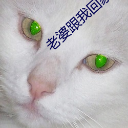 老婆跟我回家