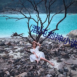 混沌剑神小说 （看硃成碧）