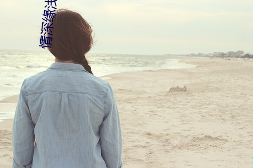 情深缘浅