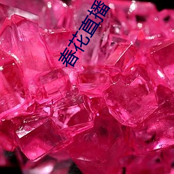 春花直(直)播