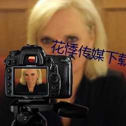 花悸传媒下载 （掠影浮光）