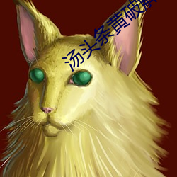 汤头条黄破解版app下载 （馨香祷祝）