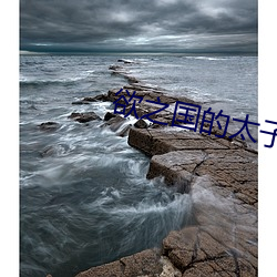 欲之国的太子 （落价）