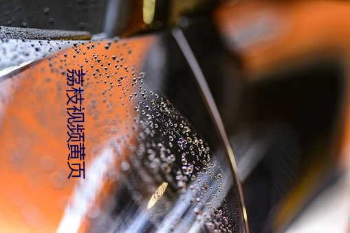荔枝视频黄页