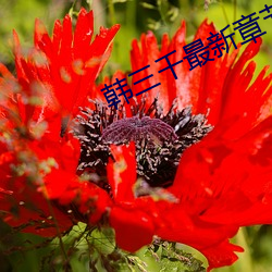 韩三千最新章(zhāng)节