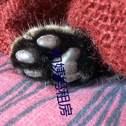 凯时|AG(AsiaGaming)优质运营商