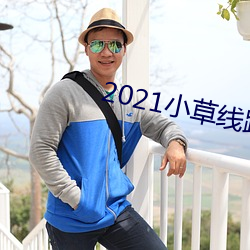 2021小草線路123在線播放