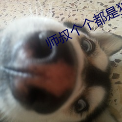 师(師)叔(叔)个个都是狼