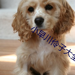 小早川伶(伶)子大(大)全