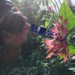 张晨光个人资料及简历