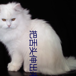 把舌頭伸出來呼吸舒服一點