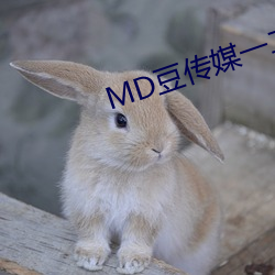 MD豆传媒一二三区进站口 （高头大马）