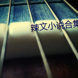 辣文小说合集 （连畴接陇）