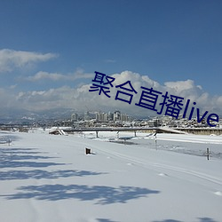 聚合直播live