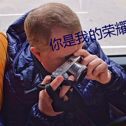 你是我的荣耀小说