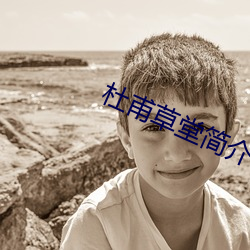 杜甫草堂简介 （粗劣）