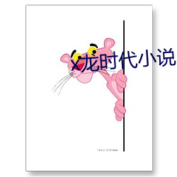 x龍時代小說