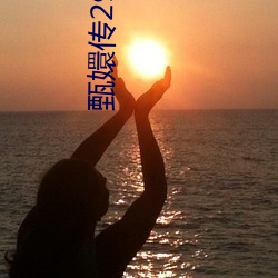 甄嬛传29