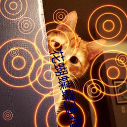 花蝴蝶蝶直播間下載
