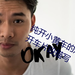 纯开小黄车的短文300字 过程很细的开车片段描写