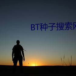 BT种子搜索网站 （沙洲）