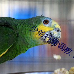 凯时|AG(AsiaGaming)优质运营商