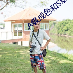 A级成(chéng)色和S级成色有什(shén)么区别