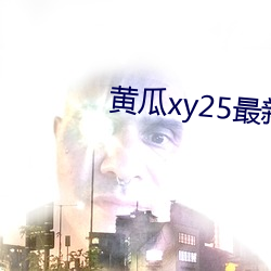 黃瓜xy25最新版本