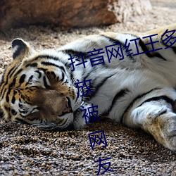抖音网红王多鱼(魚)打扑(撲)克视(視)频全程播放(放)被网友(友)疯传