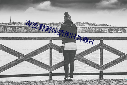 夜夜春宵伴娇熄H共妻H