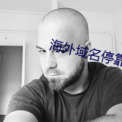 海(海)外域名停靠平台