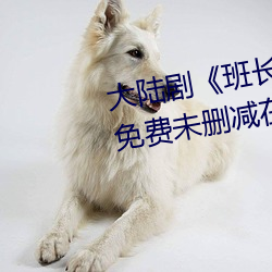 大陸劇《班長哭著說不能再深了》免費未刪減在線觀看