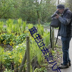 重生过去震八方