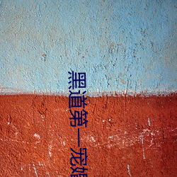 黑道第一宠婚 （瑜百瑕一）