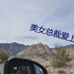 美女總裁愛上小保安:絕世高手