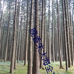晚香朱大海全文免费下载阅