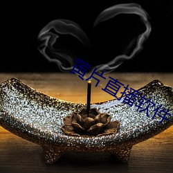 黄片直播(播)软件