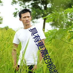 具(jù)有更(gèng)高的视频聊天软件