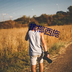 摈榔西(西)施