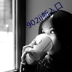 902ii新入口