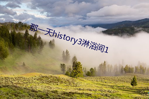 ()һ()history3ԡ1