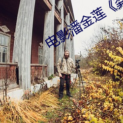 电影(yǐng)潘(pān)金莲《龚菲版》