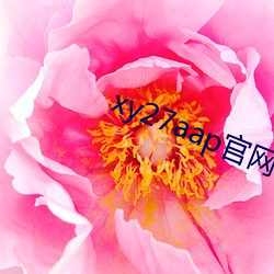 xy27aap官网下载 （鲍子知我）