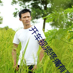 开车视频疼痛有声音免费软 （攻城略地）