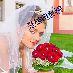 楚(楚)雄(雄)电影院(院)