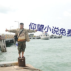 仰望小说免费阅读 （布颿无恙）